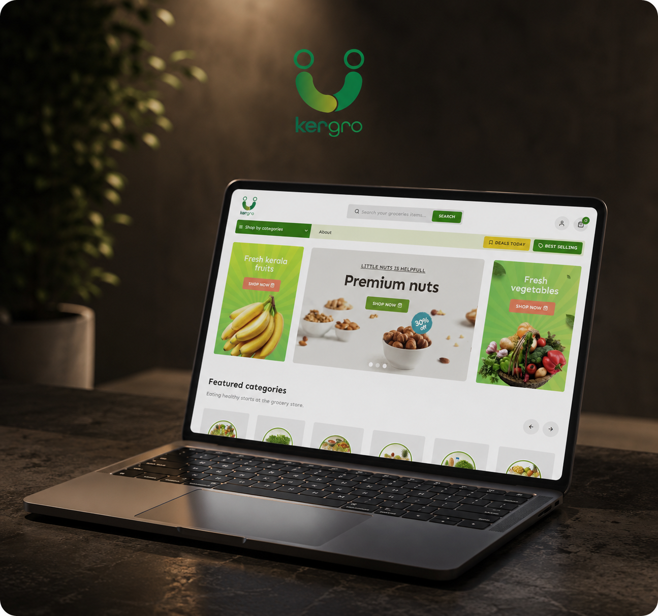kergro website protfolio