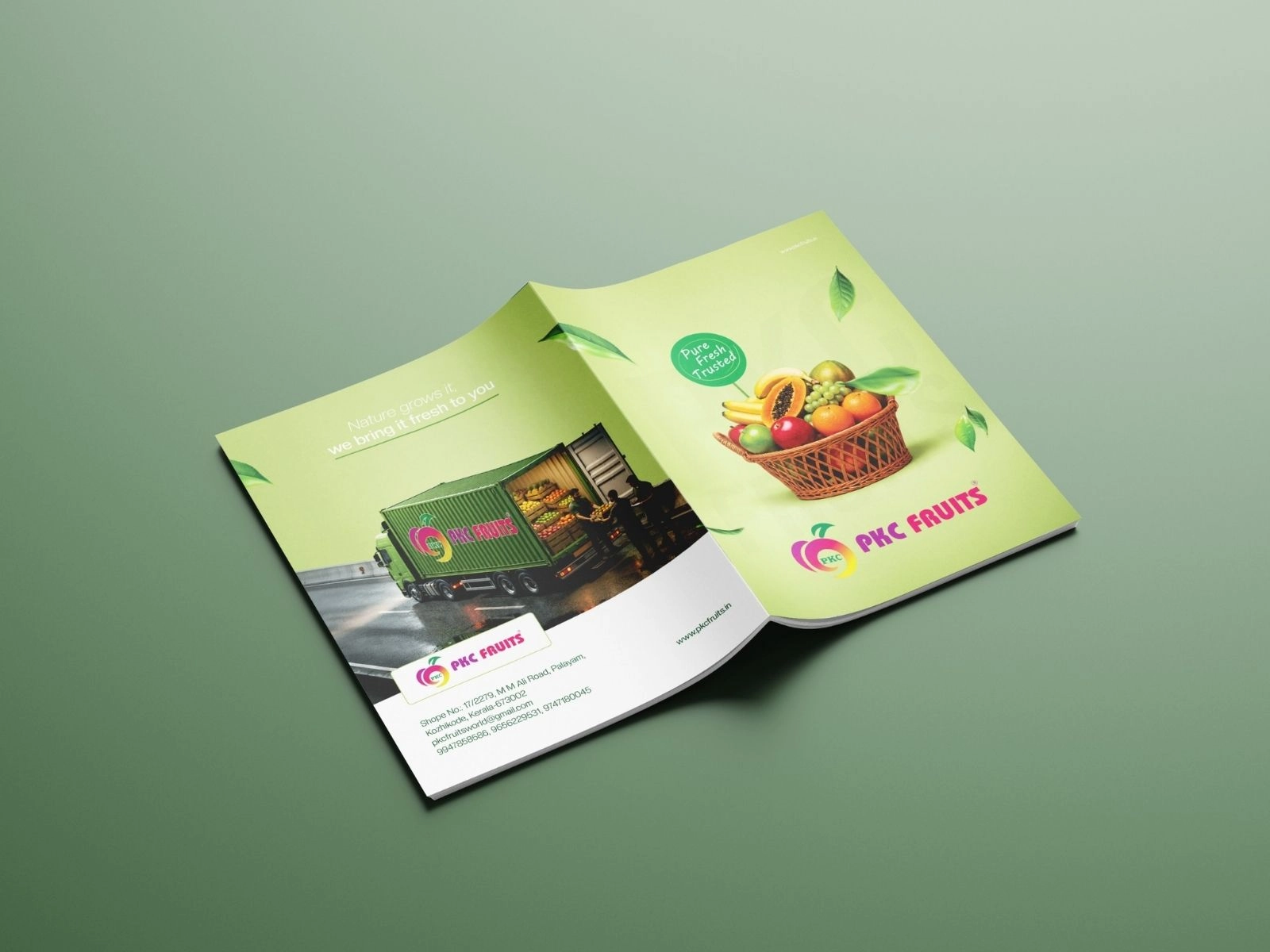 Brochure Designers in India_PKC Fruits Popular Brochure Design Providers in India